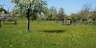 Blick auf eine Streuobstwiese