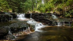 Das Bild zeigt einen wilden Flusslauf