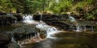 Das Bild zeigt einen wilden Flusslauf
